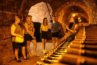 Thumbnail Full Day Small Group Champagne Tour from Reims with 3 Small Producer Visits