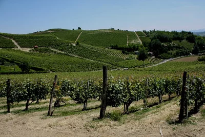 Thumbnail for Willkommen auf dem Weinberg: Besichtigung und Weinprobe auf dem Weingut Marenco in Monferrato