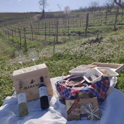 Thumbnail Picnic at the Marenco Winery in the rolling hills of Monferrato