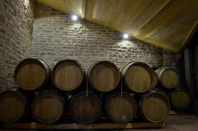 Thumbnail Visite complète du Domaine Debreuille et dégustation de vins avec des produits locaux