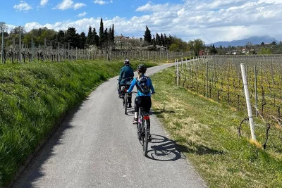 Thumbnail Guided E-bike Tour with two Winery visits in Bardolino