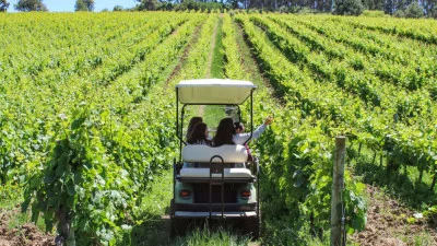 Thumbnail Buggy-ride through the vineyards & Visit with wine tasting at Casa Santos Lima