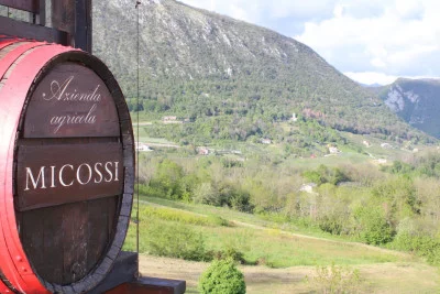 Thumbnail Tasting of 5 wines at the Micossi Winery