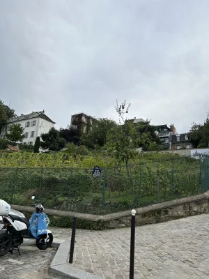 Thumbnail Viaje enológico a Montmartre: Explora el Arte del Vino en el Barrio de los Artistas