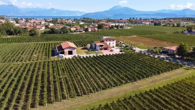 Thumbnail Excursión privada y cata de vinos por el mundo de los vinos de Lugana, cerca del Lago de Garda
