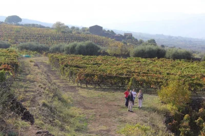 Thumbnail Tasting of 3 Wines at Tenute Moganazzi near Etna