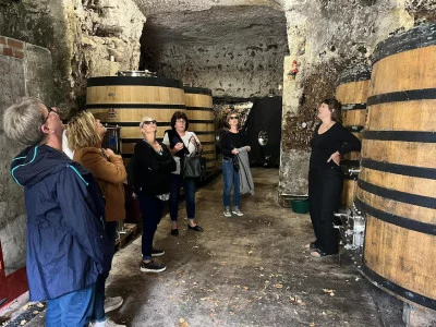 Thumbnail Full day Small group Loire Valley Wine tour from Paris: Chambord Castle, Wine tasting & Lunch