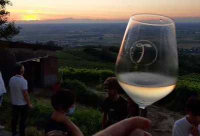 Thumbnail Visita y cata de vinos en La Travaglina, en el corazón del Oltrepò