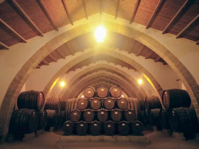 Thumbnail Marsala wine tour da Trapani: centro storico e degustazione di vini in 2 cantine