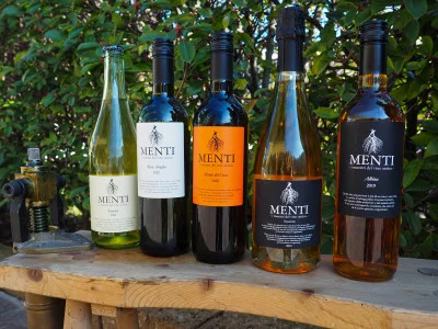 Thumbnail Full Range Tasting Experience at Menti Winery