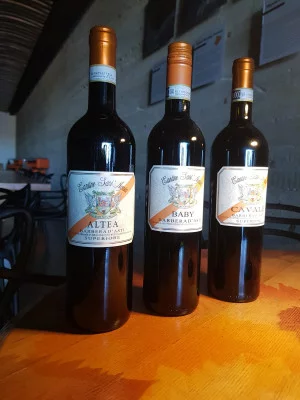 Thumbnail Shades of Barbera tour & wine tasting at Sant'Agata winery in Monferrato