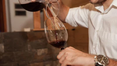 Thumbnail Unveil the Art of Wine Tasting at Reja Winery in the heart of Goriška Brda