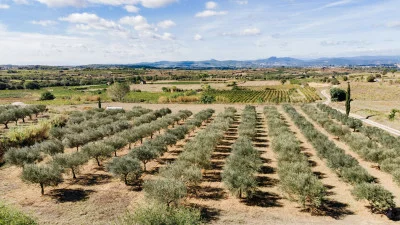 Thumbnail Full-day Exploration of Terrasses du Larzac Wine & Olive Oil from Montpellier