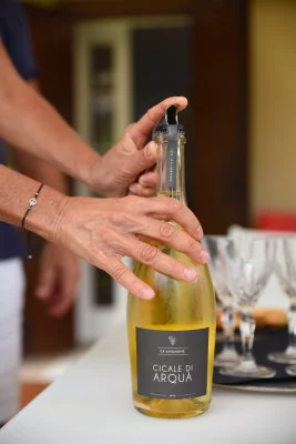 Thumbnail Weinprobe im Ca Avignone in den Euganeischen Hügeln