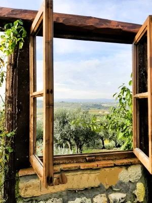 Thumbnail The Window on Valpolicella: Guided walk through the Vineyards with Winery Visit and Wine Tasting