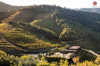 Thumbnail Classic Tour and Wine Tasting at Perinet in Priorat