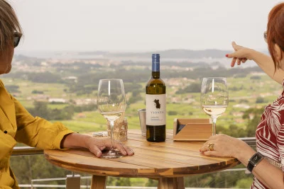 Thumbnail Klassischer Besuch und Weinprobe bei Bodegas Vionta