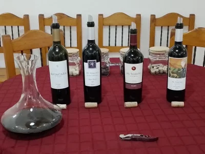 Thumbnail for Ajoute du piquant à tes sens : Wine experience au vignoble Mi Terruño