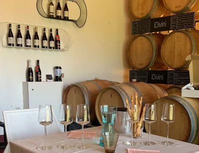 Thumbnail Wine Experience: Behind the scenes of iDivini Winery