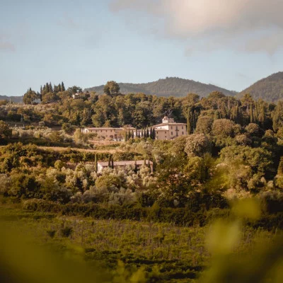 Thumbnail for Weinprobe auf der Tenuta La Novella im Chianti Classico