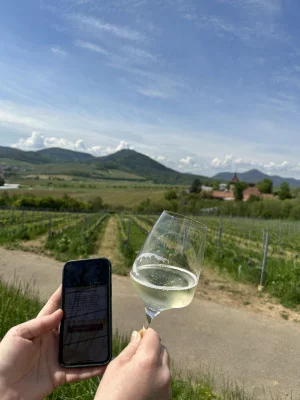 Thumbnail Wine hike with wine backpack & app at Wein und Sektgut Wilhelmshof