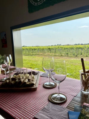 Thumbnail Emilia en copa: Experiencia de cata de vinos en Vitivinicola Fangareggi