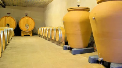 Thumbnail Viñedos Colbert - Experiencia de cata de vinos en Château La Fleur Cravignac