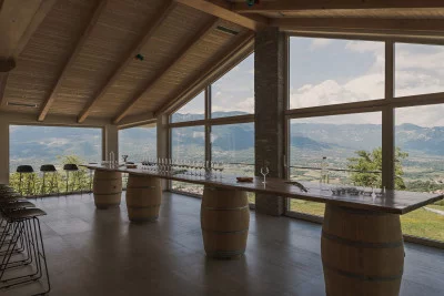 Thumbnail Panoramic Vipava Valley Wine Tasting Experience at Sveti Martin Winery