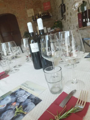 Thumbnail Sips of of Val d'Orcia: Wine tasting & typical products at Atrivm Winery