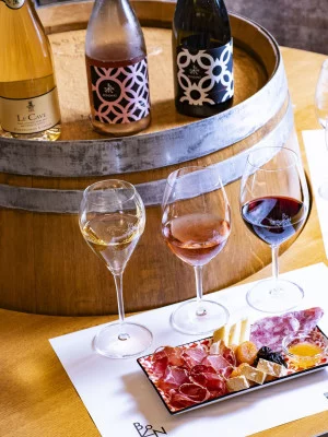 Thumbnail Introduction to Monferrato: Wine tasting at Castello di Uviglie