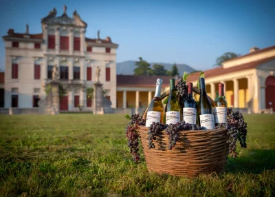 Thumbnail Dégustation de vin et d'huile d'olive à la Villa del Palladio à Bassano del Grappa