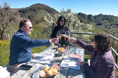 Thumbnail Prosecco & Cheese: Private full-day wine tour from Venice