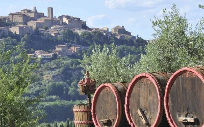 Thumbnail Small-group wine tour to San Gimignano, Chianti & Montalcino from Siena
