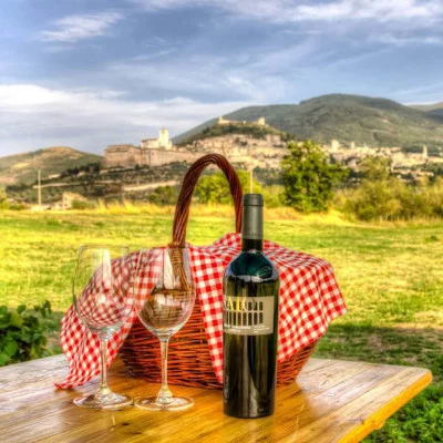 Thumbnail Picnic de lujo en el viñedo con degustación guiada en Saio Assisi