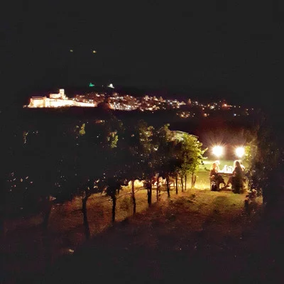 Thumbnail Picnic at sunset in the Vineyard of SAIO Assisi