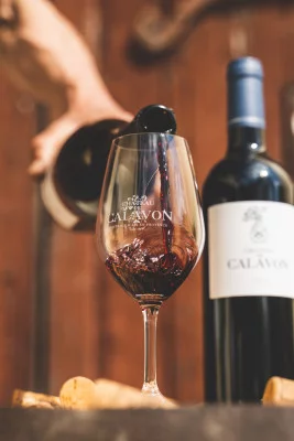 Thumbnail The Trilogy of Estates Visit & Wine tasting at Château de Calavon