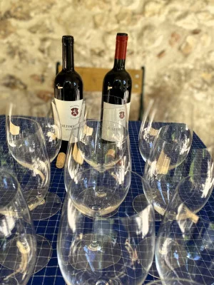 Thumbnail Visita guiada y cata de vinos en Palazzo Lodron: Residencia histórica, viñedo y bodega