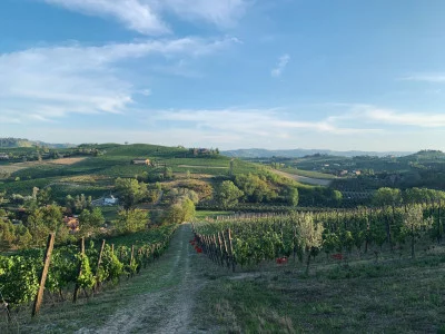 Thumbnail Weinprobe auf dem Weingut VIV in den Hügeln des Monferrato