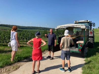 Thumbnail Winery Tour and Wine Tasting with Local Products at Weingut Volker Barth