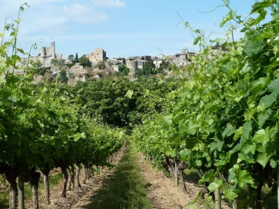 Thumbnail for Cellar Visit & Organic Wine Tasting at Domaine de la Croix Blanche