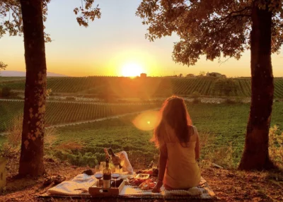 Thumbnail for Besichtigung des Weinguts und Picknick mit Blick auf die Toskana in Al Passo mit dem Weingut Tolaini