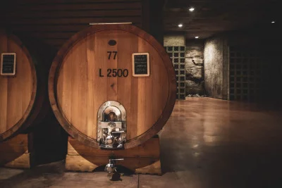 Thumbnail The Barolo Experience at Cantina Renato Ratti in Langhe
