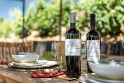 Thumbnail Dégustation des vins classiques de la Quinta à la Quinta da Casa Amarela dans la vallée du Douro