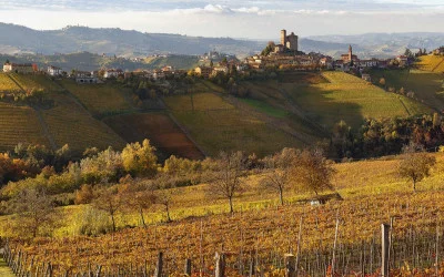 Thumbnail Klassische Weinprobe mit 3 Weinen bei Alessandro Rivetto in La Morra