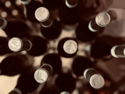 Thumbnail for Tasting Shades of Nebbiolo at Alessandro Rivetto Winery in La Morra