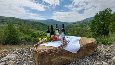 Thumbnail Wine experience a Tenuta Borri: un viaggio nella natura delle vigne selvagge e i loro vini naturali