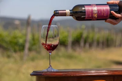Thumbnail Bienvenido a Casale del Bosco: Visita a la bodega y cata de vinos en Tenute Nardi en Montalcino