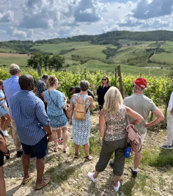 Thumbnail for Besichtigung des Weinguts und Weinprobe bei Le Bertille in Montepulciano