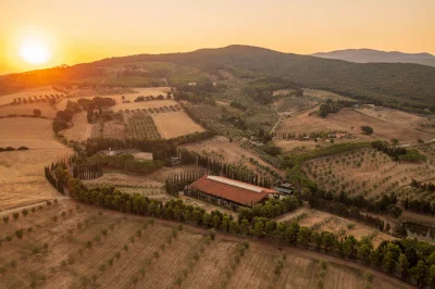 Thumbnail Die einfache Weinprobe bei Azienda Agricola Toscani in Casale Marittimo
