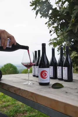 Thumbnail Die totale Weinprobe auf der Azienda Agricola Toscani in Casale Marittimo